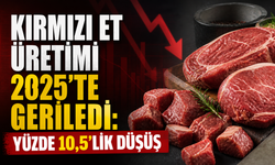 Kırmızı Et Üretimi 2025’te Geriledi: Yüzde 10,5’lik Düşüş