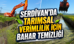 Serdivan’da Tarımsal Verimlilik İçin Bahar Temizliği Başladı