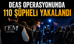 DEAŞ Operasyonunda 110 Şüpheli Yakalandı