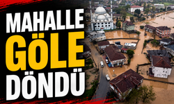 Mahalle göle döndü!