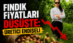 Fındık fiyatları düşüşte: Küstürmeyin