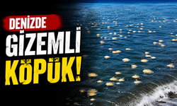 Denize gizemli köpükler yayıldı