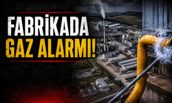 Kaynarca’da Tavuk Fabrikasında Gaz Alarmı