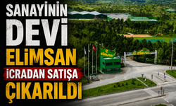 Sanayinin Devi Elimsan İcradan Satışa Çıkarıldı