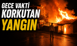 Adapazarı’nda Gece Yarısı Korkutan Yangın