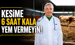 Veterinerlerden Kurban Kesimi Uyarısı