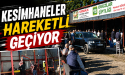 Erenler'de kurban mesaisi