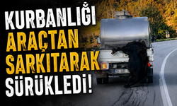 Canlı Kurbanlığı Araç Arkasında Sürüklediler