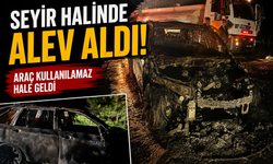 Sakarya'dan Ankara'ya Gidiyordu! Otomobil Alevlere Teslim Oldu