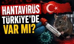 Hantavirüsü Türkiye’de Var mı? Hangi Ülkelerde Görüldü?