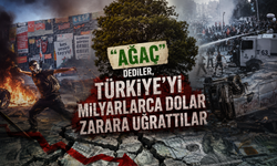 "Ağaç" dediler, Türkiye’yi milyarlarca dolar zarara uğrattılar