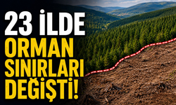 23 İlde Orman Sınırları Değişti