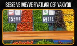 SEBZE VE MEYVE FİYATLARI CEP YAKIYOR