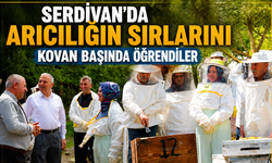 Serdivan’da Arıcılığın Sırlarını Kovan Başında Öğrendiler