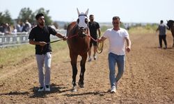 Yağlı güreş organizasyonunda 'at yarışı' etkinliği