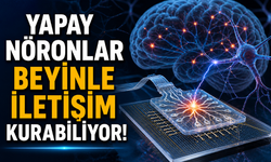 Gerçek Beyin Hücreleriyle Etkileşen Yapay Nöronlar Üretildi