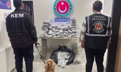 Zehir tacirlerine darbe! 659 kilo uyuşturucu ele geçirildi