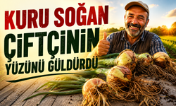 Kuru soğan çiftçinin yüzünü güldürdü