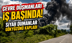 Çevre Düşmanları İş Başında! Siyah Dumanlar Gökyüzünü Kapladı