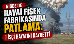 Niğde'de Havai Fişek Fabrikasında Patlama: 1 İşçi Hayatını Kaybetti