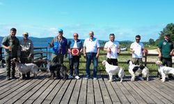 Büyük Akgöl’de Av Köpekleri Yarıştı!