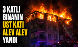 Kaynarca'da korku dolu gece! Alev alev yandı...