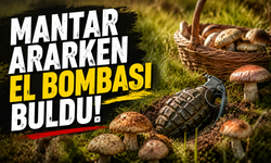 Mantar ararken el bombası buldu