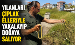 Yılanları çıplak elleriyle yakalayıp doğaya salıyor