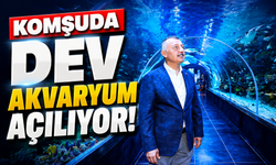 Komşuda dev akvaryum açılıyor!