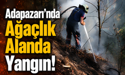 Adapazarı'nda Ağaçlık Alanda Yangın! Mahalleyi Duman Kapladı