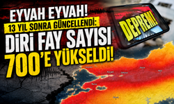 Eyvah eyvah! 13 Yıl Sonra Güncellendi: Diri Fay Sayısı 700'e Yükseldi