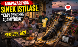 Adapazarı'nda Sinek İstilası: "Kapı Pencere Açamıyoruz"