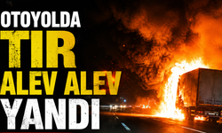 TEM Otoyolu'nda Seyir Halindeki Tır Alevlere Teslim Oldu
