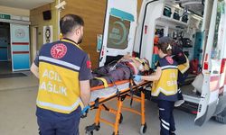 Bursa'da traktörün devrildiği kazada 1 kişi yaralandı