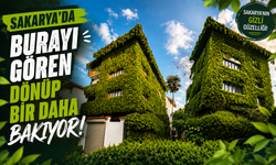Sarmaşıklarla Kaplanan Ev İlgi Odağı Oldu