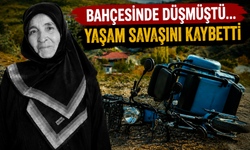 Bahçesinde Düşmüştü... Yaşam Savaşını Kaybetti