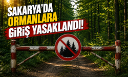 Sakarya'da Ormanlara Giriş Yasaklandı! Yeni Tedbirler 31 Ekim'e Kadar Sürecek