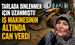 Tarlada Dinlenmek İçin Uzanmıştı! İş Makinesinin Altında Can Verdi