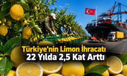 Türkiye'nin Limon İhracatı 22 Yılda 2,5 Kat Arttı