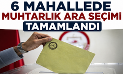 6 Mahallede Muhtarlık Ara Seçimi Tamamlandı