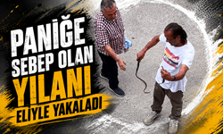 Paniğe sebep olan yılanı eliyle yakaladı