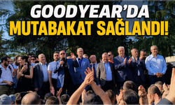Goodyear İşçisi Kazandı! Sakarya Fabrikasında Büyük Kutlama