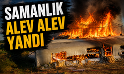 Kaynarca'da Küçükbaş Hayvan Çiftliğinde Yangın