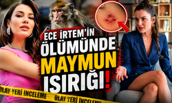 Ece İrtem'in ölümünde maymun ısırığı detayı