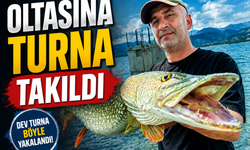 Sapanca Gölü'nde Dev Turna Balığı Rekoru