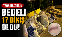 Adapazarı'nda İhmal İddiası: 9 Yaşındaki Çocuk Ayağına Saplanan Camla Yaralandı