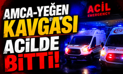 Amca Yeğen kavgası hastanede bitti!
