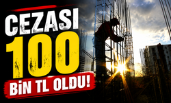 Resmi Gazete'de Yayımlandı: Tarım, Orman ve Enerjide Yeni Dönem