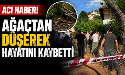 Akyazı’da Ihlamur Toplarken Hayatını Kaybetti