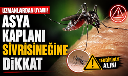 Asya kaplanı sivrisineğine dikkat